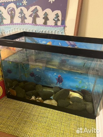 Аквариум