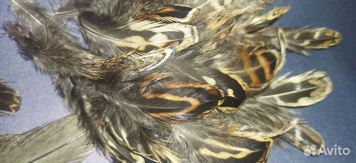 Перья для рукоделия