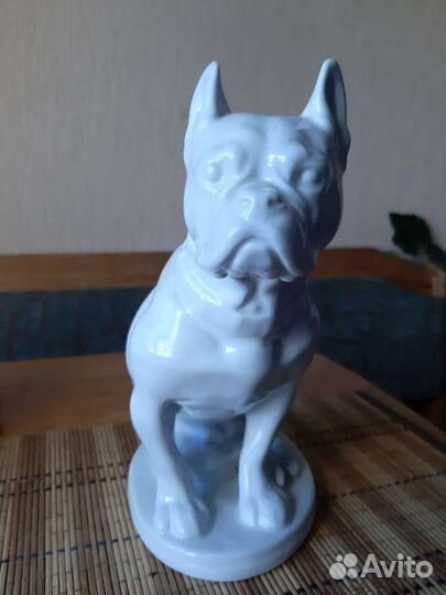 Собака бульдог СССР