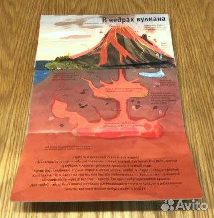 Животные снаружи и внутри. Над землей и под землей