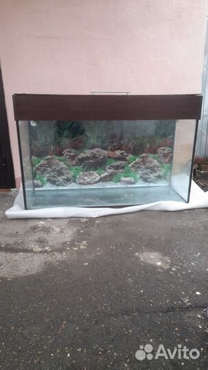 Аквариум