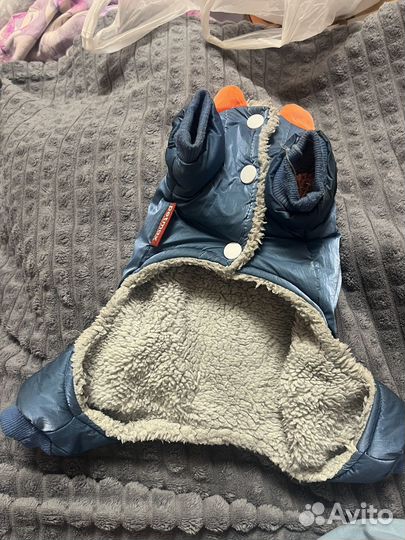 Одежда для собак мелких пород