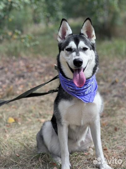 Джина из приюта