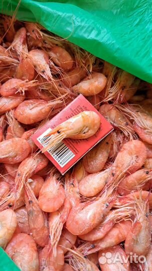 Продам азовскую креветку только опт