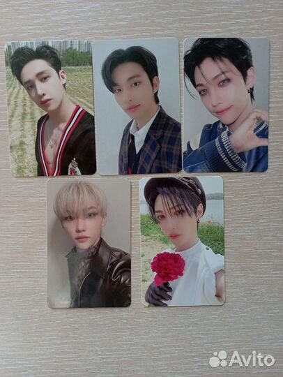 Stray kids альбом, карточки