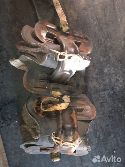 Сбруя для лошади