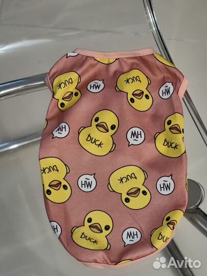 Одежда для кота