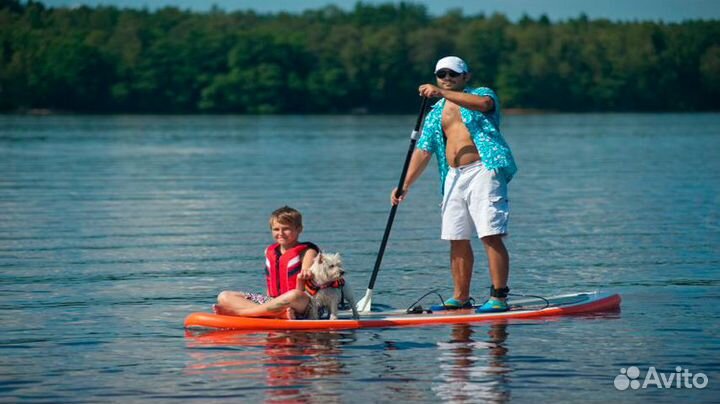 Аренда сапов (SUP board) г. Луга