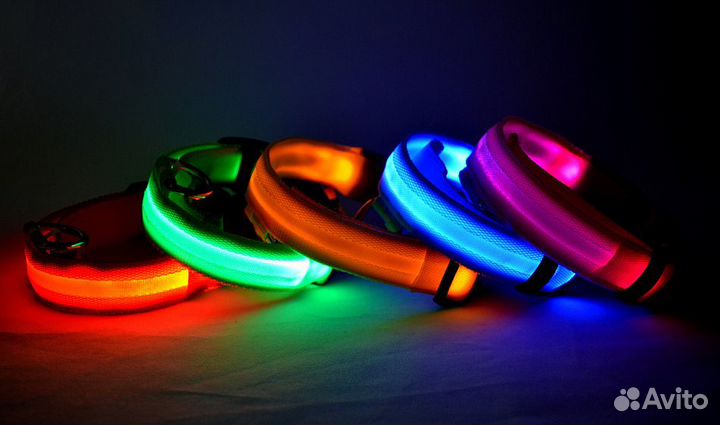 Светящийся ошейник
