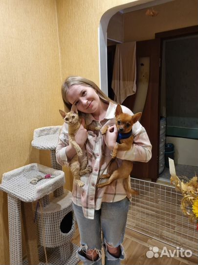 Гостиница для животных Nano-Dog