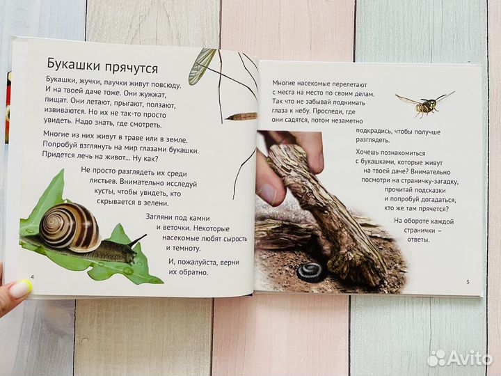 Майк Анвин: Кто живёт у нас на даче. Букашки