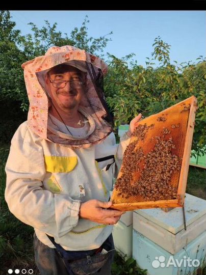 Натуральный пчелинный мёд (медосбор 2023 года)