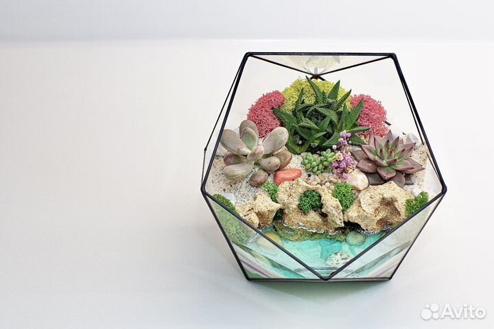 Флорариум в наличии