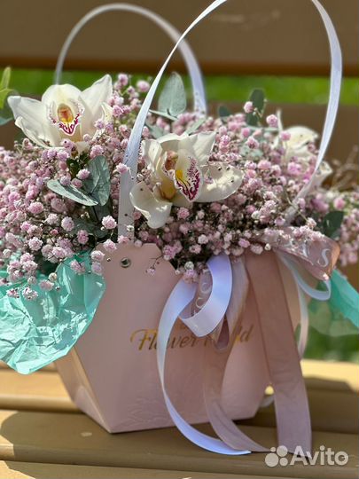 Гипсофила в коробке