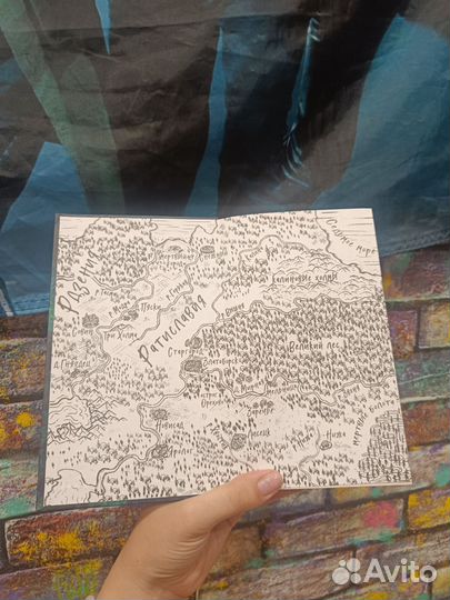 Книги сокол и ворон