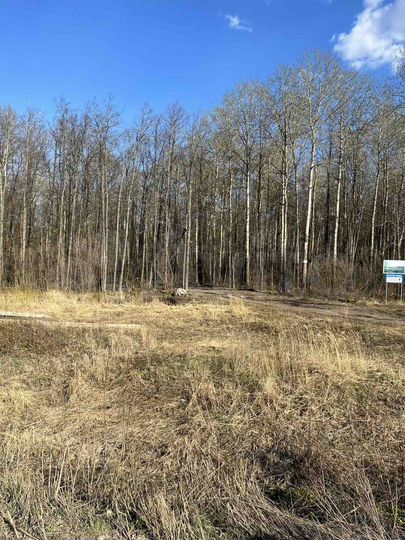 Участок 100 сот. (ИЖС)