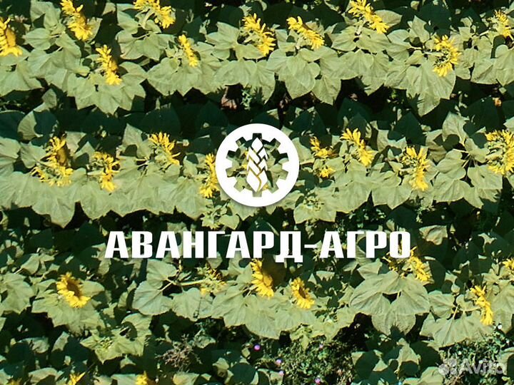 Наладчик кипиа