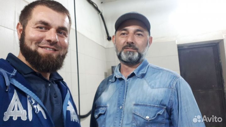 Я водитель автомобиля категории бсд ищу работу
