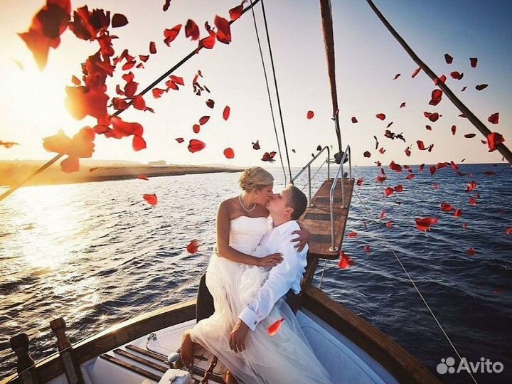 Аренда яхты катера