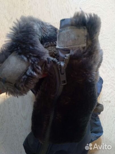 Зимний комбинезон для мелких собак (кабель)