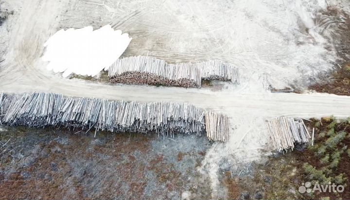 Лежневка, кругляк