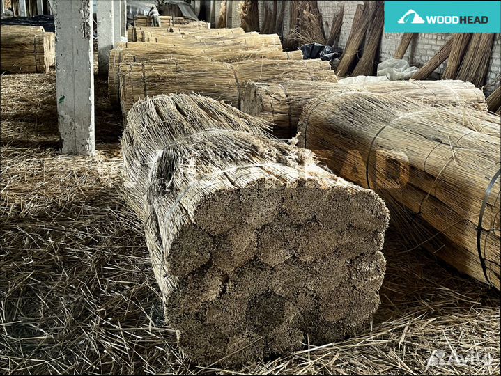 Камыш Маты из камыша