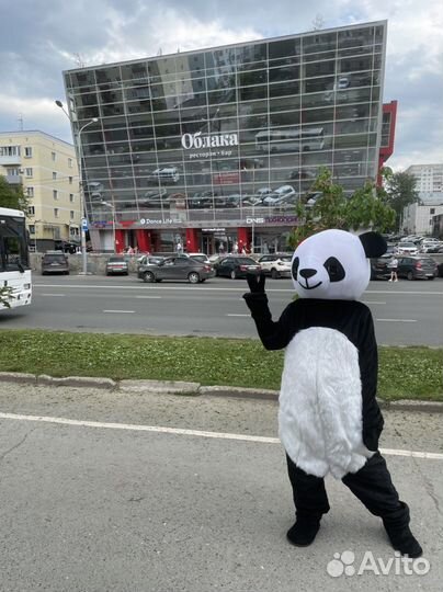 Большой костюм панды