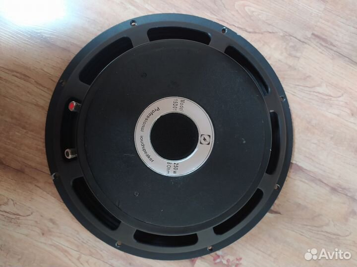 Динамик Record B1501 актон