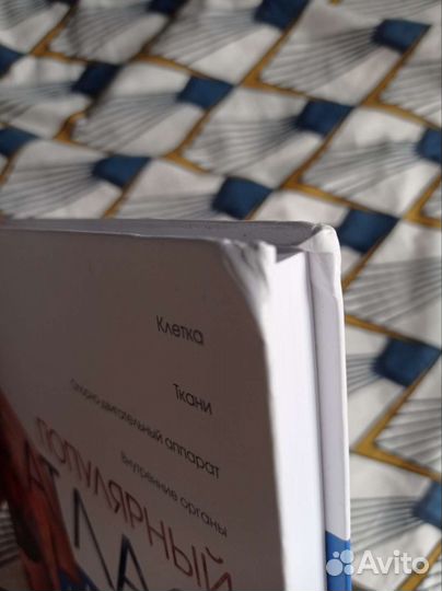 Популярный атлас анатомии человека