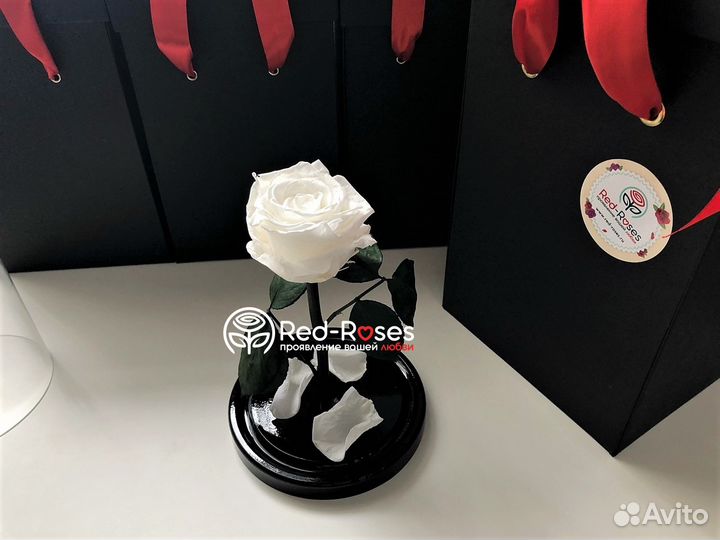 Роза в колбе Премиум