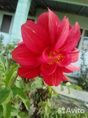 Раковина в ванную бу