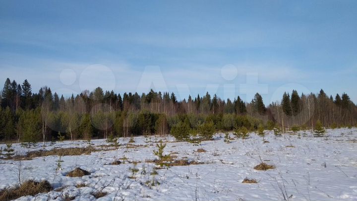 Участок 17,8 сот. (ИЖС)