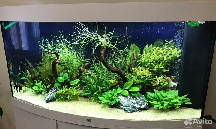 Ремонт аквариумов