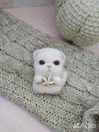 Котоброши валяные из шерсти