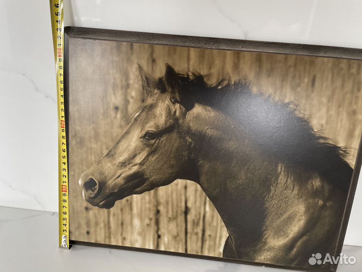 Лошадь картина
