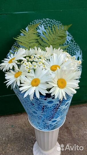 Цветы ромашки