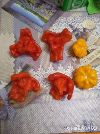 Самый острый перец в мире рассада и семена