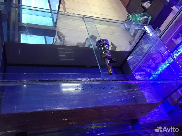 Аквариум торговый для раков