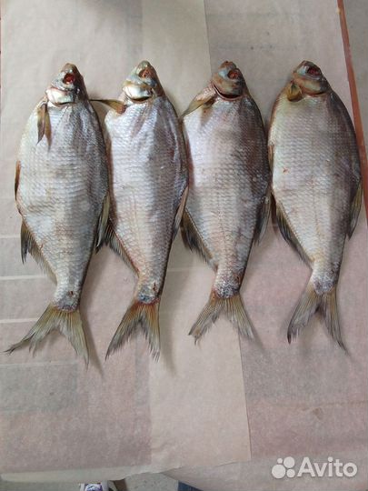 Лещ крупный икряной