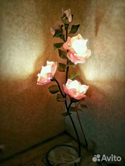 Ве тка магнолии