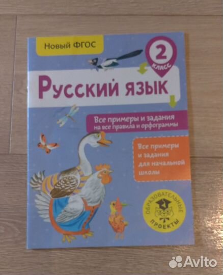 3000 примеров