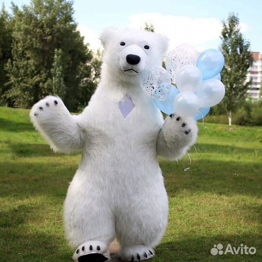 Поздравление белого медведя зайки котика и мишки