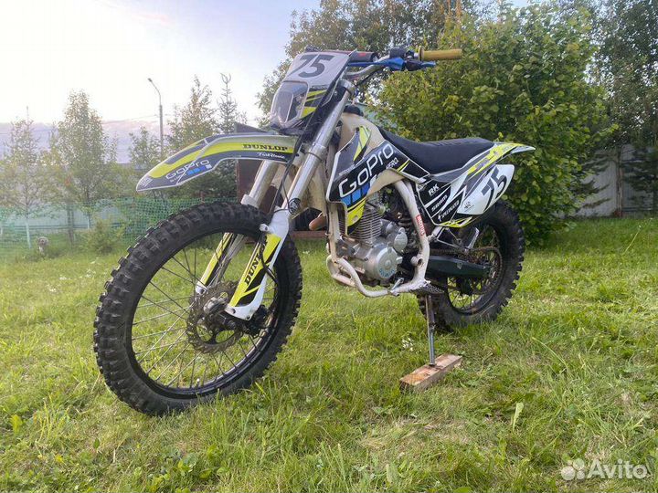 Avantis fx 250