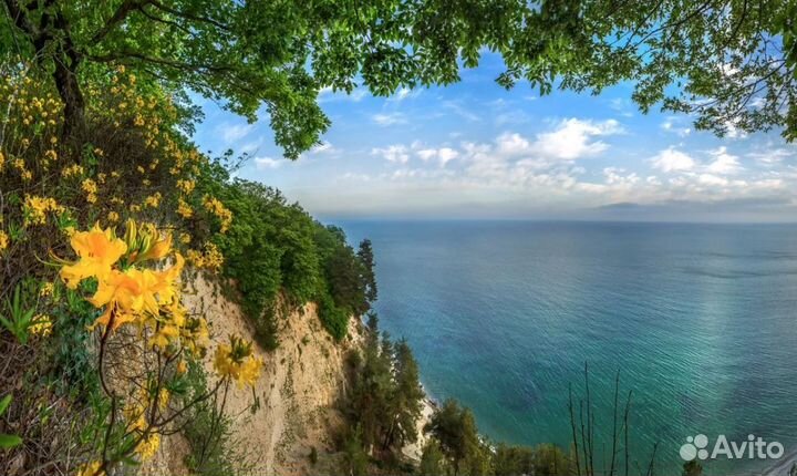 Путешествие в Абхазию от 7 дней