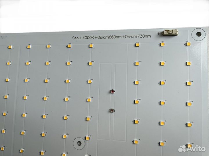 Quantum board Seoul 80w