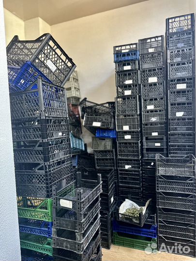 Ящики пластиковые для овощей