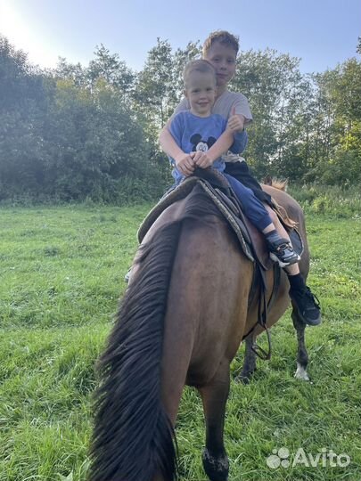 Конные прогулки