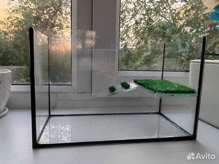 Террариум для черепахи
