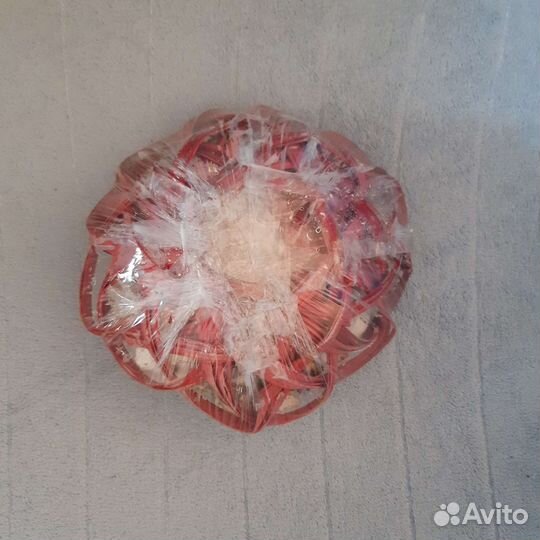 Ракушки морские для аквариума