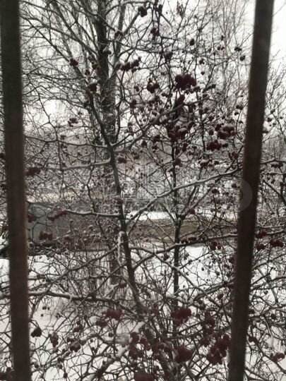 2-к. квартира, 40,1 м², 1/5 эт.